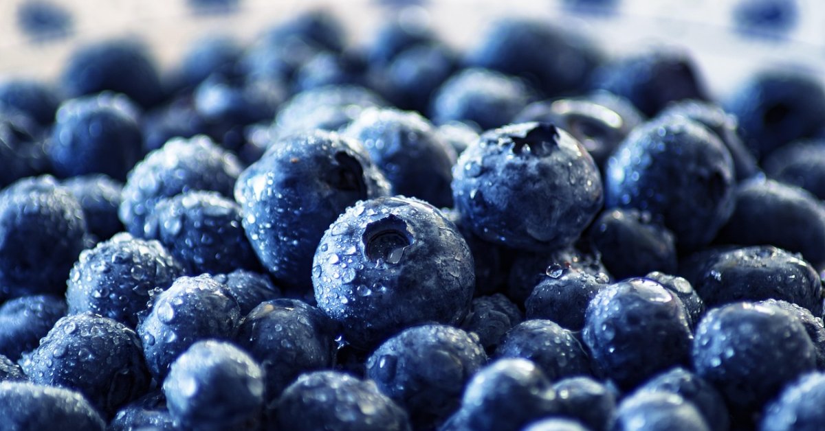 Best Vegan Blueberry Muffins – Easy, Moist, and Delicious Dairy-Free Recipe