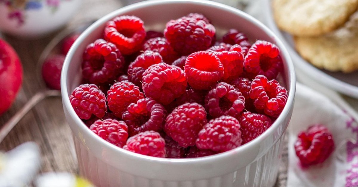 Easy Vegan Cranberry Sauce Recipe – Fresh, Healthy, and Perfect for Any Holiday Table Easy Vegan Cranberry Sauce Recipe – Fresh, Healthy, and Perfect for Any Holiday Table