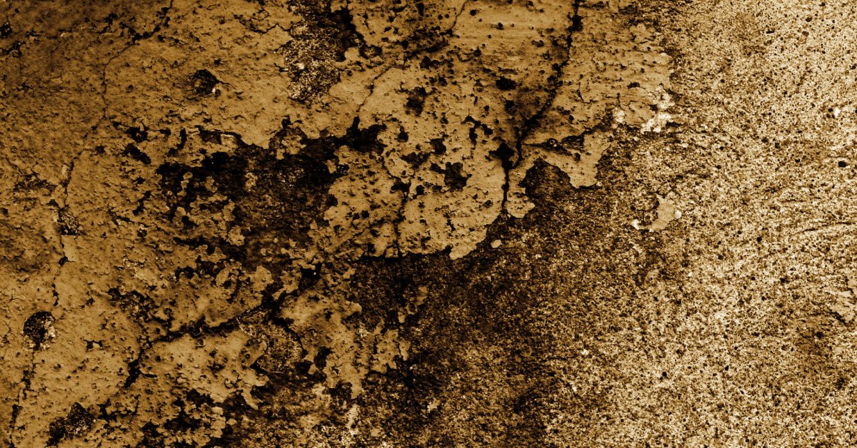 Roasted Chickpeas with Spices: Crispy, Flavorful, and Easy Vegan Snack Recipe